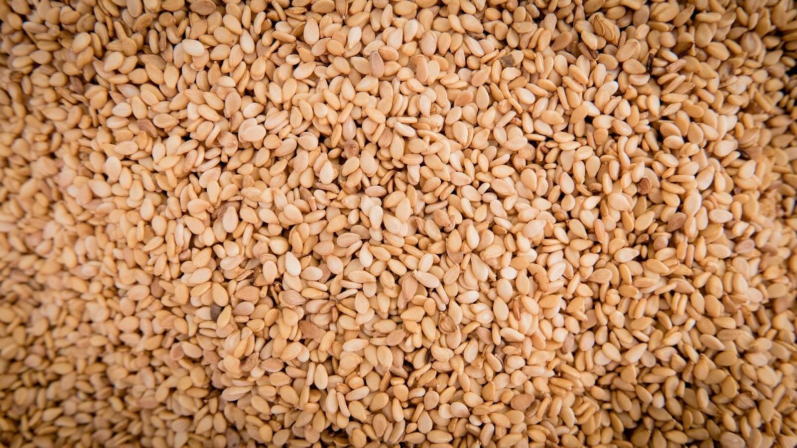 How much do you know about Sesame Seeds?